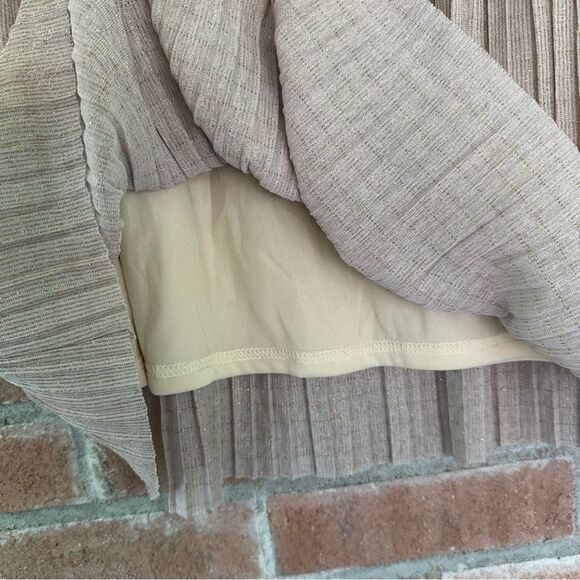 Walter Baker Midi Pull On Skirt Pleated Shimmer Beige Women’s 6 Ballet - Picture 4 of 10